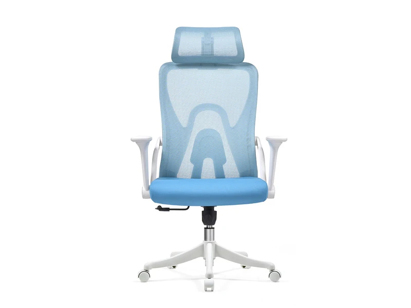 Chaise de bureau ergonomique en maille avec appui-t&ecirc;te r&eacute;glable &ndash; 2428A