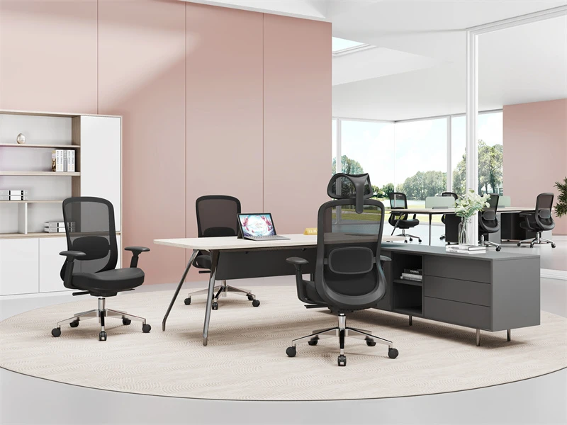 Chaise de bureau PDG | Ex&eacute;cutif &amp; Chaises de salle de r&eacute;union &agrave; vendre
