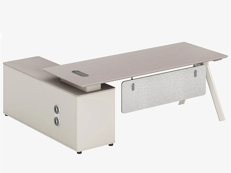 Bureau de direction minimaliste moderne pour les femmes leaders
