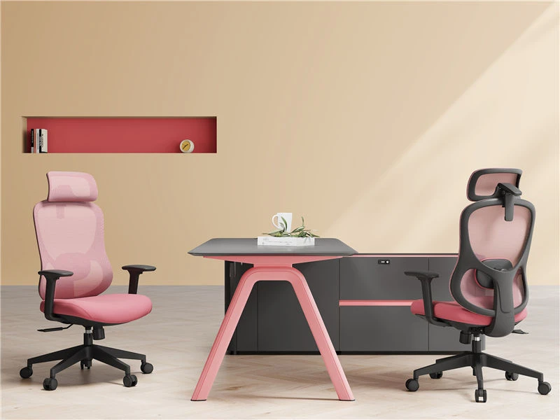 Chaise de bureau de luxe &agrave; dossier haut | Chaises de bureau de direction Nouveau