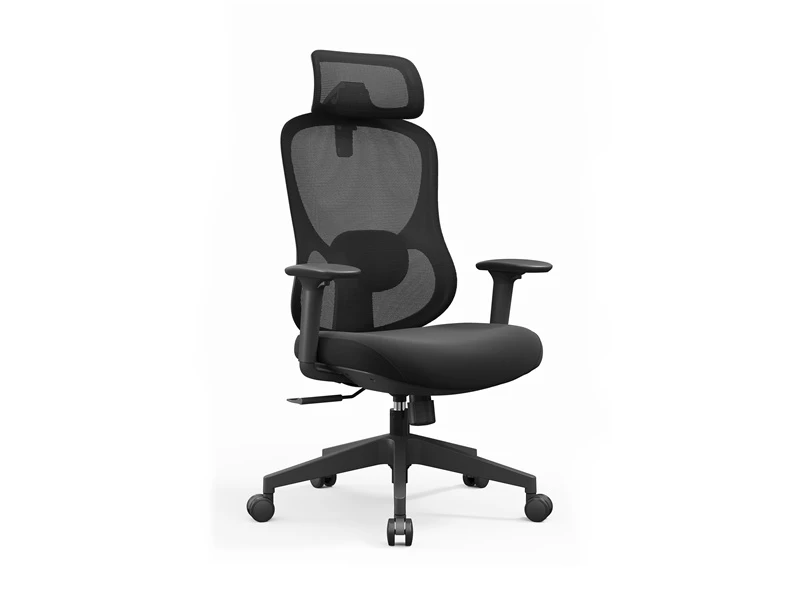 Chaise de bureau de luxe &agrave; dossier haut | Chaises de bureau de direction Nouveau