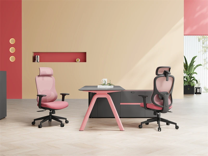 Chaise de bureau de luxe &agrave; dossier haut | Chaises de bureau de direction Nouveau